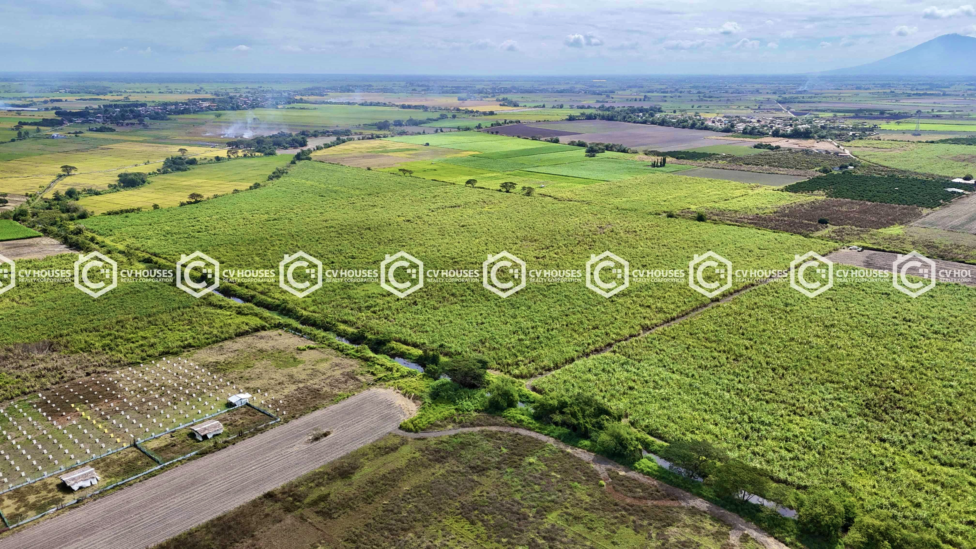 6,600sqm Agricultural Lot for Sale in La Paz, Tarlac